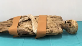 Boris Johnson hat eine mumifizierte Ur-ur-ur-ur-ur-ur-Großmutter