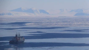Plastikmüll bedroht Antarktis