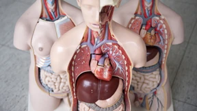 Ein Register der Halbherzigkeit