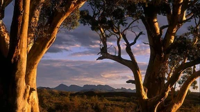 100 Millionen Jahre an einem Nachmittag