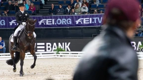 Es müllert im Dressurviereck