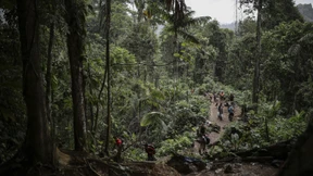 Vier Kinder zwei Wochen nach Flugzeugabsturz lebend gefunden