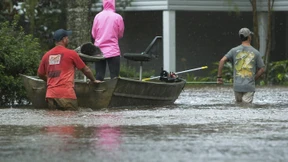 Welche Fehler bei Harvey gemacht wurden