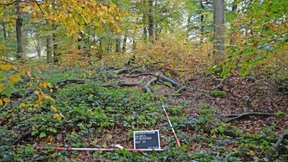 Adlige Entdecker, moderne Raubgräber und viele Fragen