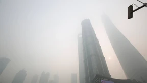 Hat die Deutsche Bank Prinzlinge beschäftigt?