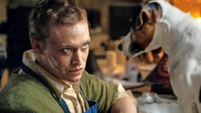 Man kann nie zu viele Hunde haben