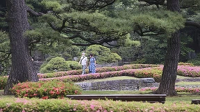 Langsam erblüht das Alltagsleben