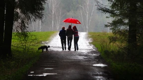 „Regen, Regen, Regen, das ist das Einzige, was hilft“