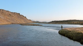Kampf um den wilden Lachs