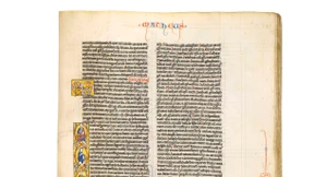 Teamarbeit am Zürichsee