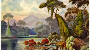 Palmwein aus Ganymeds Hand