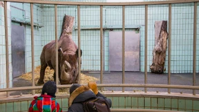 Tradition versus Tierwohl