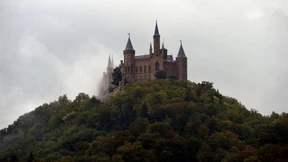 Das Recht der Hohenzollern