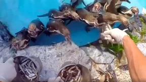 Mit den Augen eines Tierpflegers