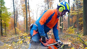 Sechs Prozent mehr für Hessen-Beschäftigte gefordert