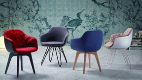 Ab heute wird zurückgekuschelt