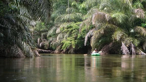 Fluss ohne Widerrede