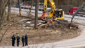 Für den Riederwaldtunnel fallen die letzten Bäume