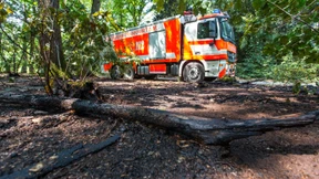 Schon wieder ein Waldbrand