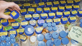 Forschen im grünen Labor