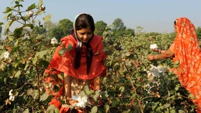 Indien lockert Exportverbot