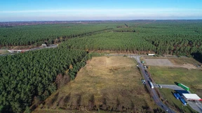 Tesla-Chef antwortet kritischen Anwohnern