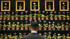 Trooping the Colours