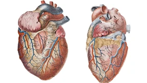 Alles Revolution, oder was?