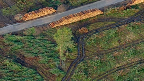 Der Tesla-Fall als Gift für künftige Ansiedlungen