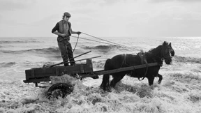 Mittendrin statt nur dabei