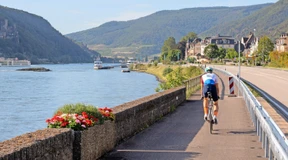 Links der Rhein – rechts die Weinberge