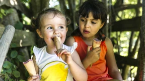 Welche Sorten Cookie-Eis im Test überzeugen