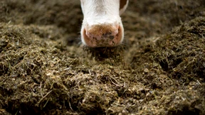 Skandal! Oder doch nicht?