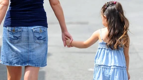 Der Verfassungstrojaner