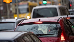 Dem Affen Stickoxid geben