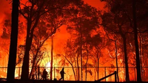 Wer ist Schuld an der Feuerwalze?