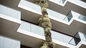 Hoch sollen sie leben