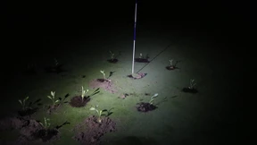 Klimaaktivisten füllen Löcher auf Golfplätzen mit Zement