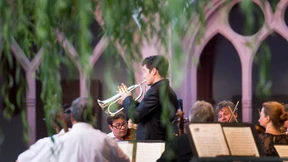 Zum Streichquartett zwischen die Weinfässer