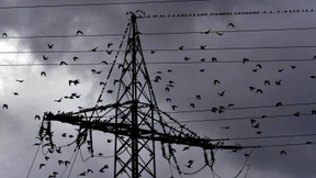 Strompreis für Haushalte seit 2000 verdoppelt