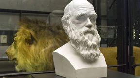 600 Millionen und ein Wurm