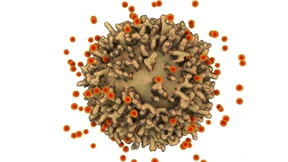 Gift gegen das Virus