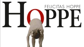 Eine ganze Horde von Stieren bei den Hörnern gepackt