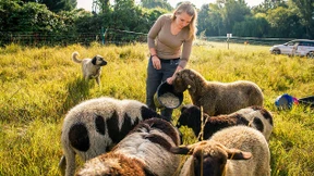 Aus Liebe zu den Kangals