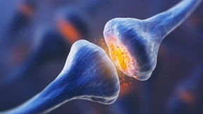 Fortschritt im Wechselspiel von Hirnforschung und Therapie