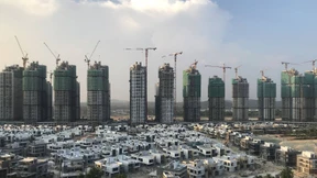 Wo die schmackhaftesten Stinkfrüchte wachsen