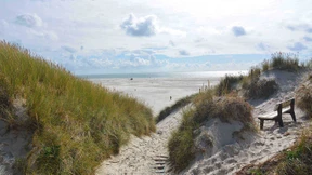 Nur Quasselstrippen grüßen „Moin, Moin“