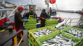 WTO-Konferenz „knapp am Scheitern vorbeigeschrammt“