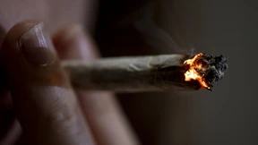 Die Ampel hört lieber auf die Rauschgiftlobby