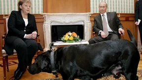 Fragen und Antworten zu Unser Blick auf Putin: Wie die Täuschung begann